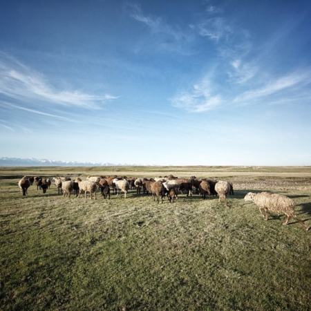 L’histoire d’eau d’An Oston - Kirghizstan - WECF - Annabelle Avril Photographie #23