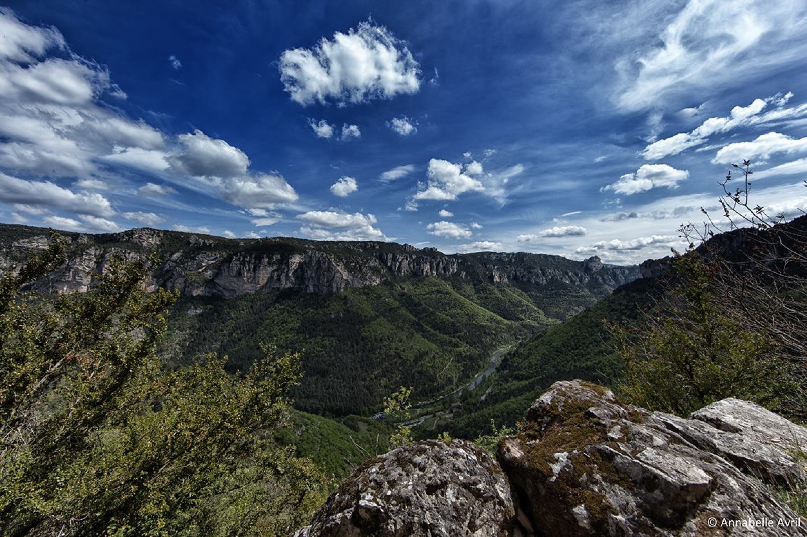 Parc Des Grands Causses | Annabelle Avril Photographer