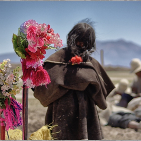 Chipayas - Bolivie - Annabelle Avril Photographie #10