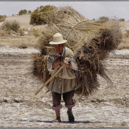 Chipayas - Bolivie - Annabelle Avril Photographie #23