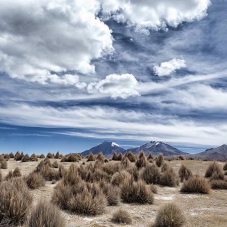 Parc de Sajama - Bolivie - Annabelle Avril Photographie #13