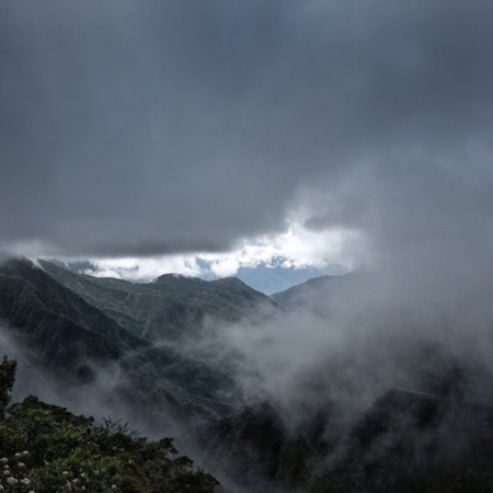 Yungas - Bolivie - Annabelle Avril Photographie #1